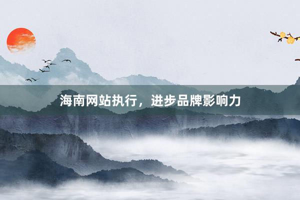 海南网站执行，进步品牌影响力