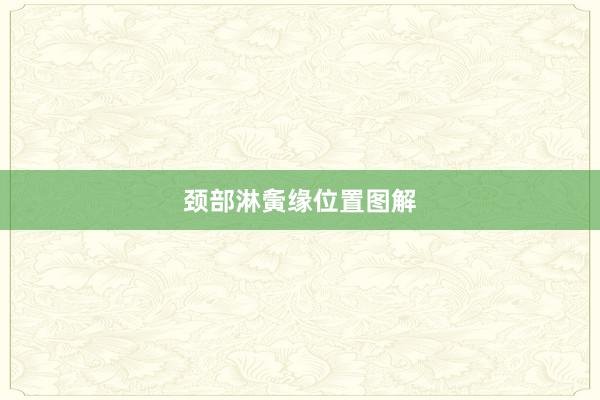 颈部淋夤缘位置图解