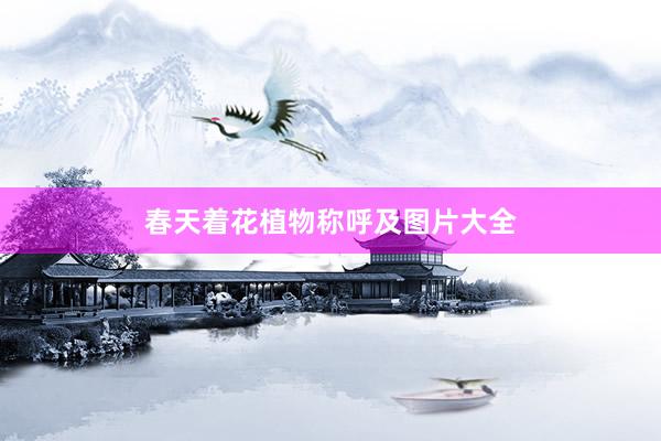春天着花植物称呼及图片大全