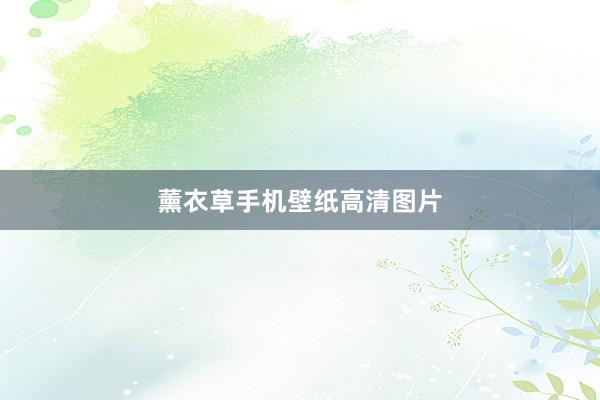 薰衣草手机壁纸高清图片